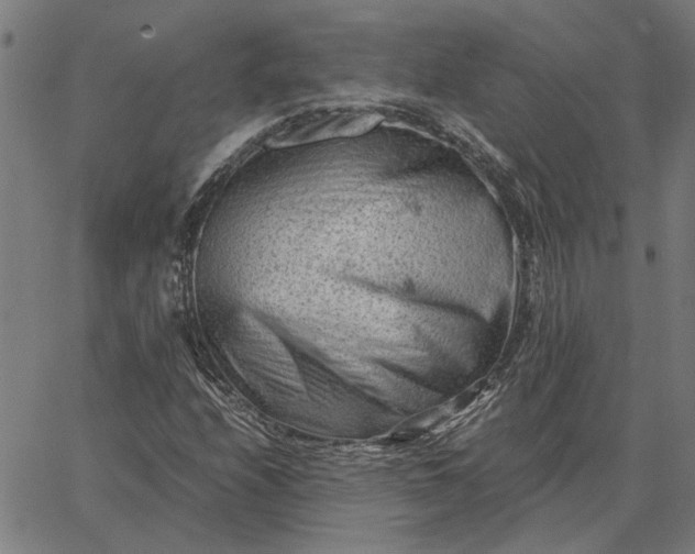 X0000065251208200603031755