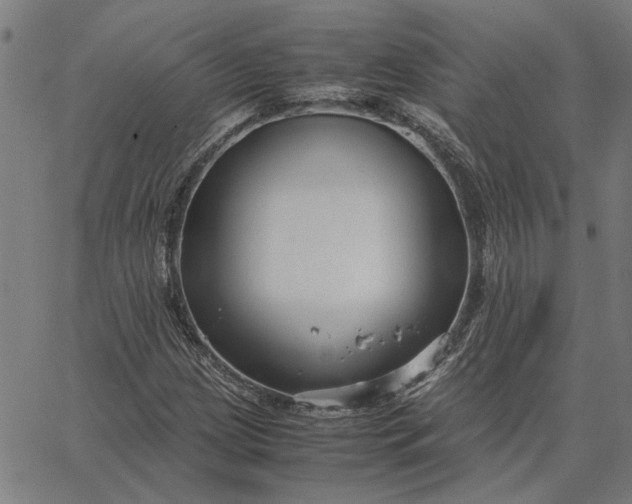 X0000065251209200603031755