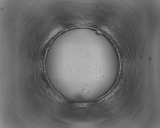 X0000065251211200603031755