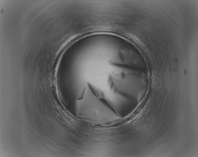 X0000065251212200603031755