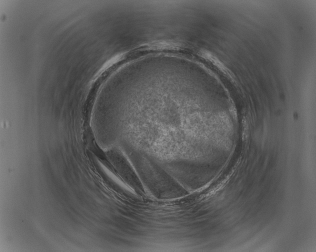 X0000065251213200603031755