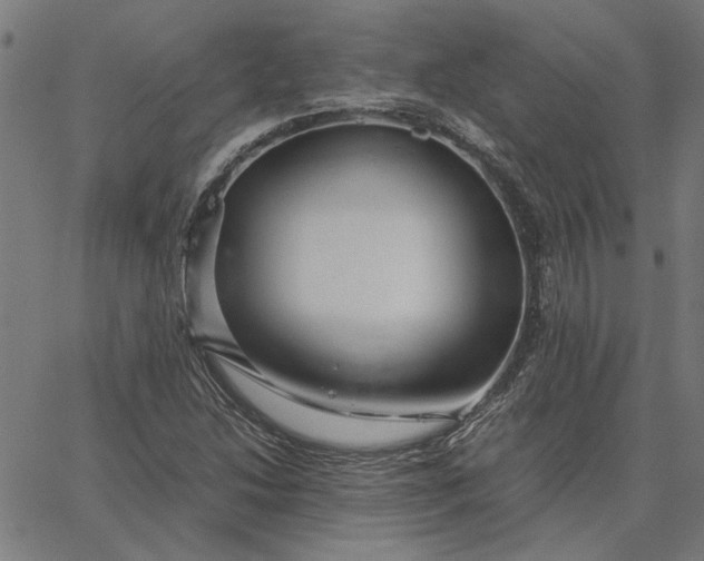 X0000065251214200603031755