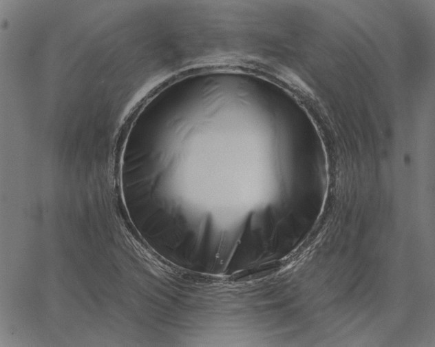 X0000065251216200603031755