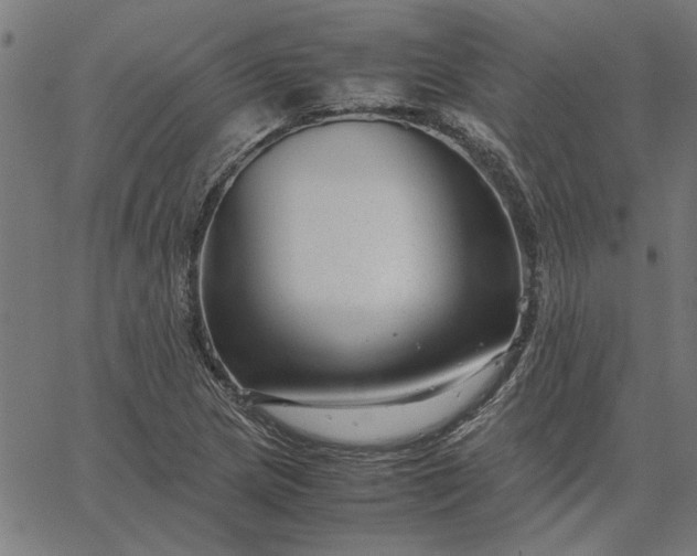 X0000065251217200603031755