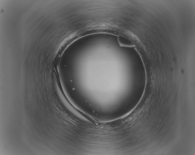 X0000065251218200603031755