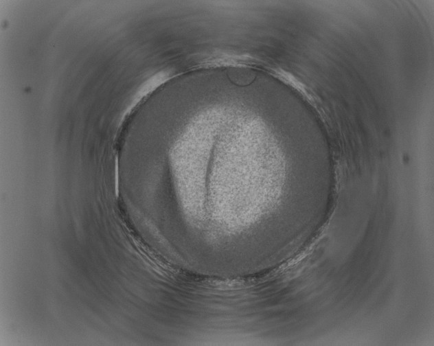 X0000065251219200603031755