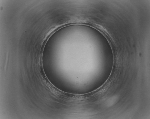 X0000065251220200603031755