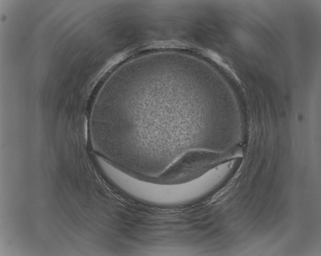 X0000065251221200603031755