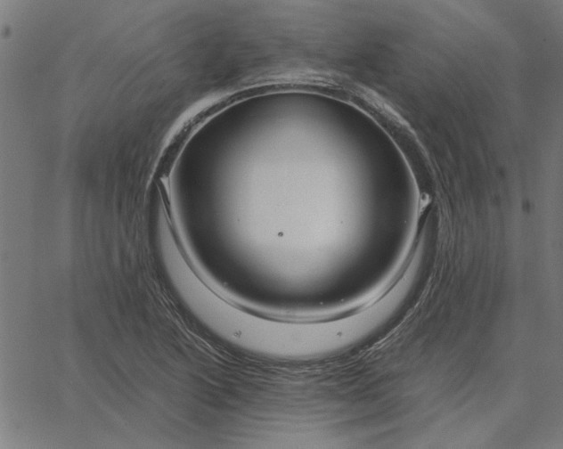 X0000065251222200603031755