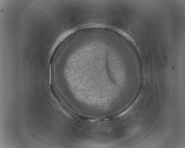 X0000065251223200603031755