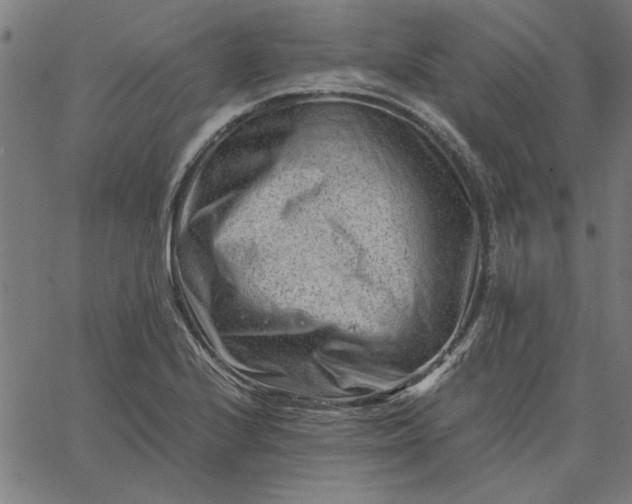 X0000065251224200603031755