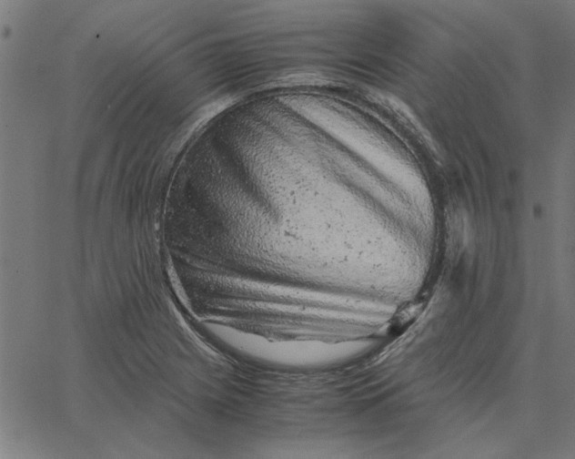 X0000065251225200603031755