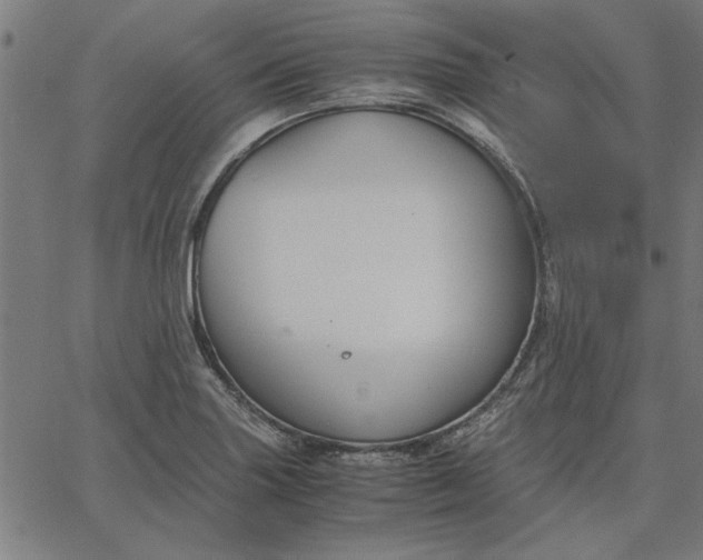 X0000065251227200603031755