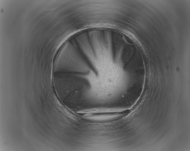 X0000065251228200603031755