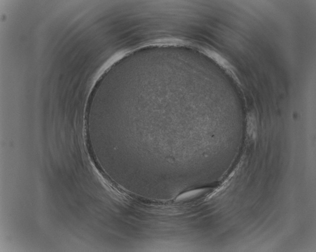 X0000065251229200603031755