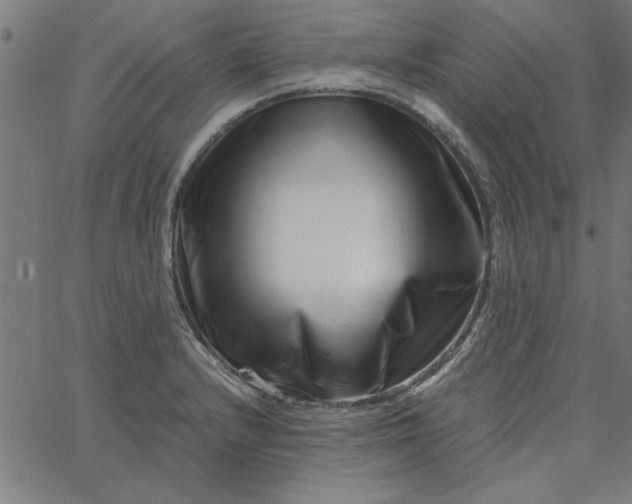 X0000065251232200603031755