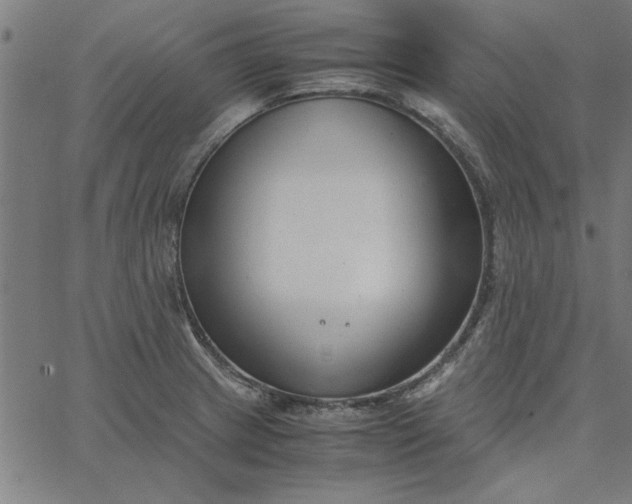 X0000065251233200603031755