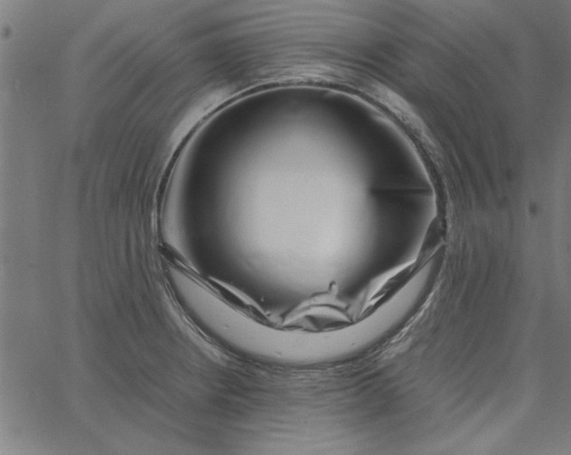 X0000065251234200603031755