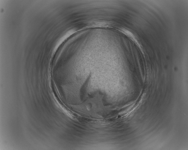 X0000065251235200603031755