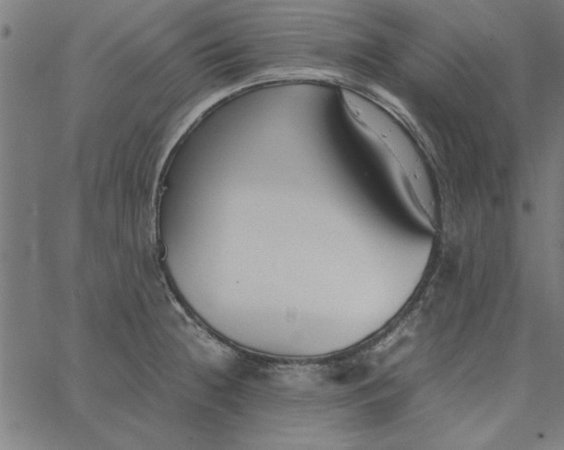 X0000065251236200603031755