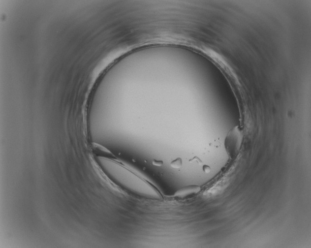 X0000065251238200603031755