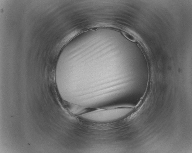 X0000065251241200603031755