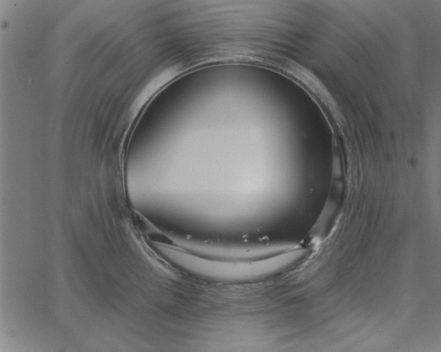 X0000065251242200603031755