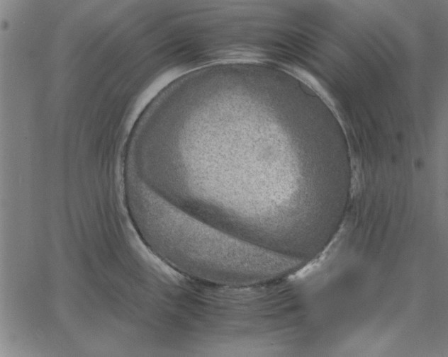 X0000065251243200603031755