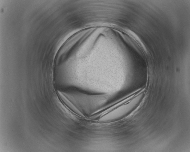 X0000065251244200603031755