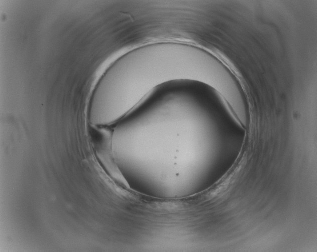 X0000065251246200603031755