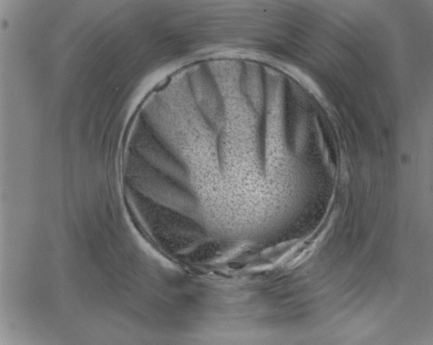 X0000065251247200603031756