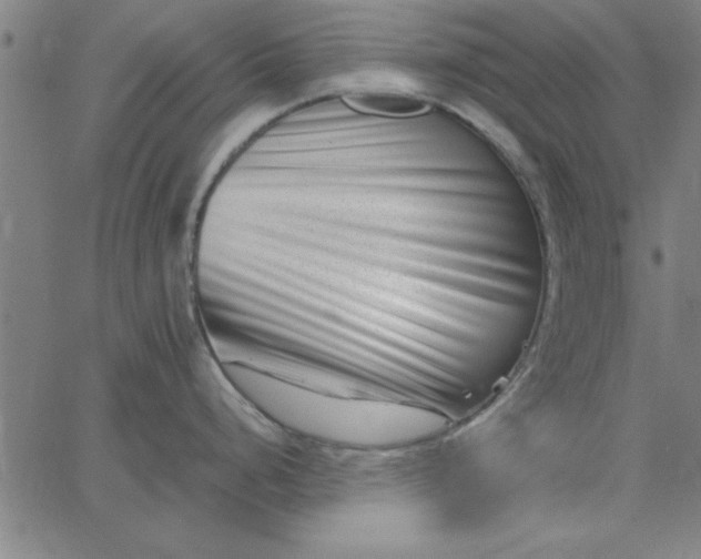 X0000065251248200603031756