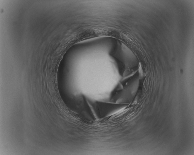 X0000065251249200603031755