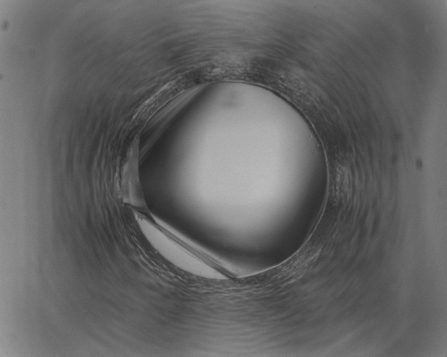 X0000065251250200603031755