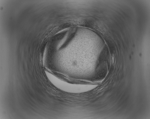 X0000065251251200603031755