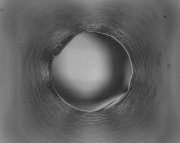 X0000065251252200603031755