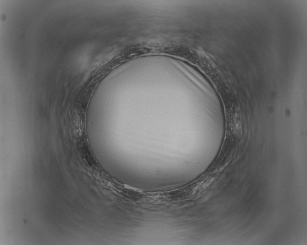 X0000065251253200603031755