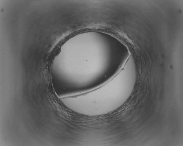 X0000065251256200603031755