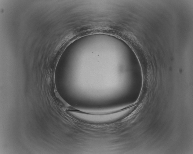 X0000065251257200603031755