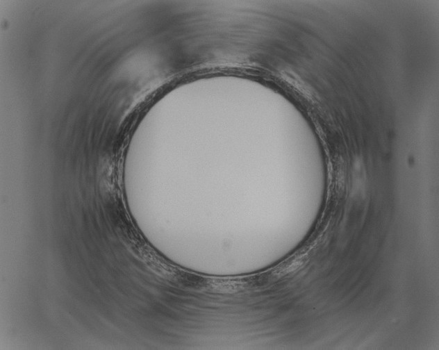 X0000065251258200603031755