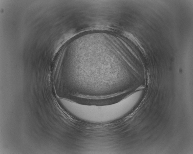 X0000065251260200603031755