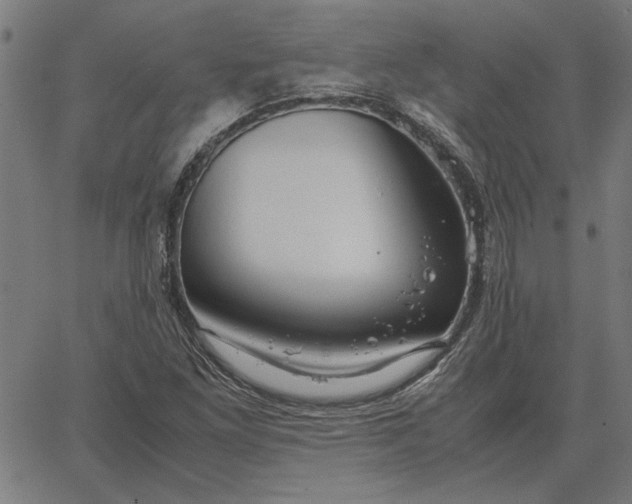 X0000065251261200603031755