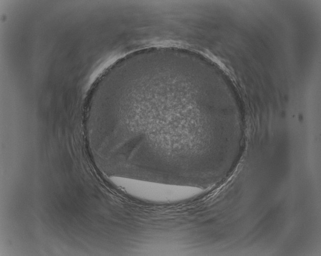 X0000065251263200603031754