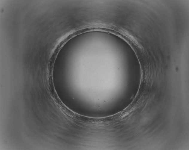 X0000065251264200603031754