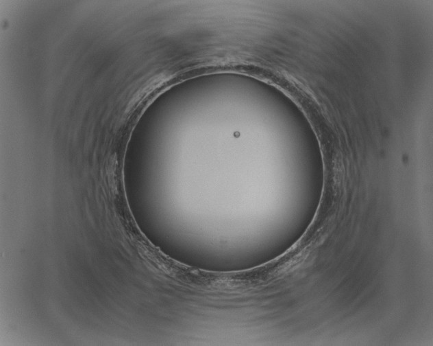 X0000065251265200603031754