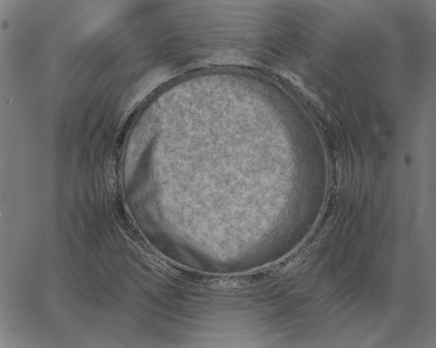 X0000065251266200603031754