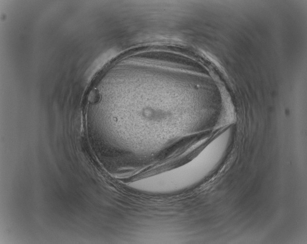 X0000065251267200603031754