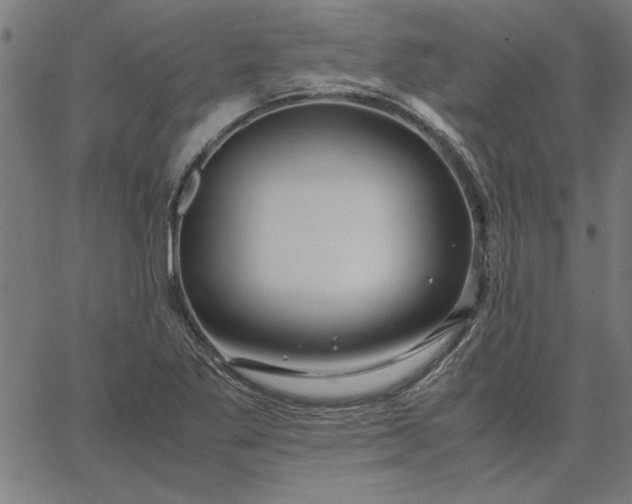 X0000065251269200603031754