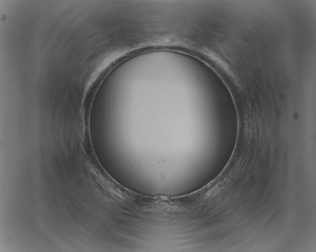 X0000065251270200603031754