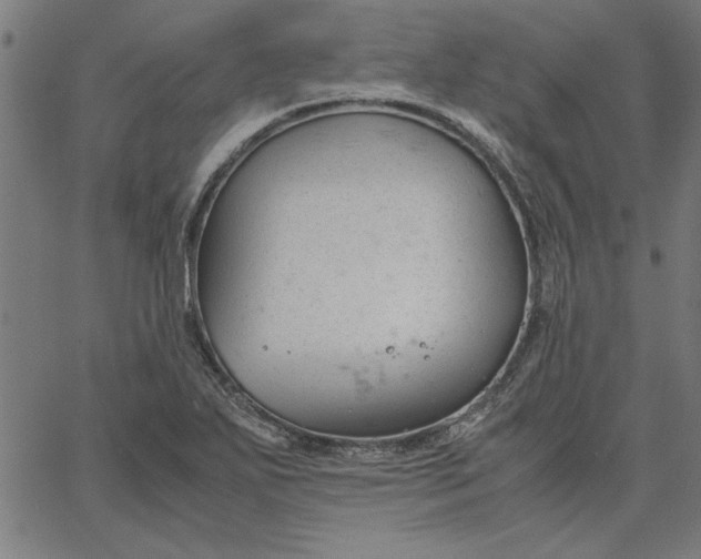 X0000065251271200603031754